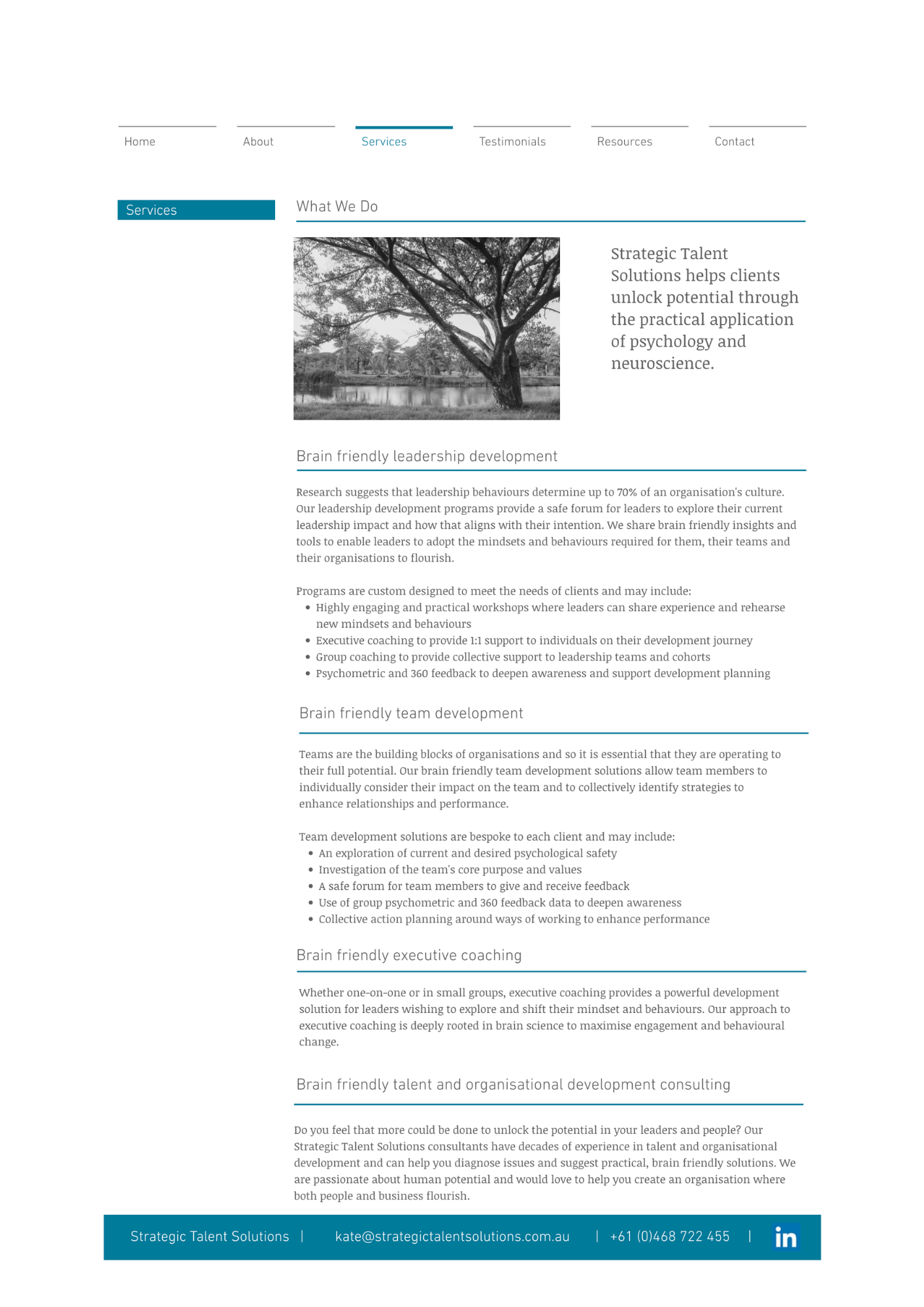 Strategic Talent Solutions website before rebrand